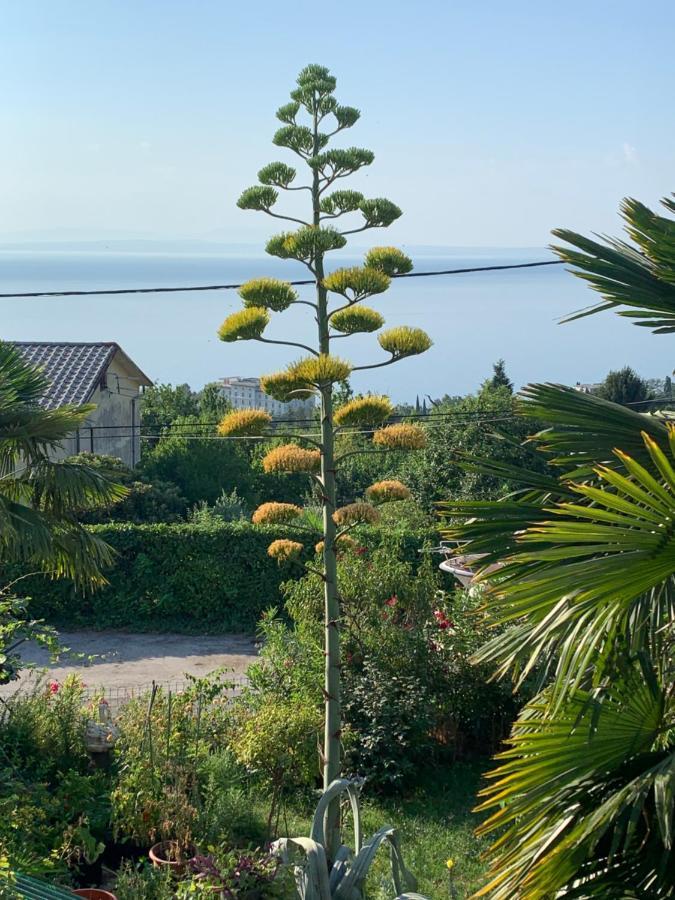 Holiday House Marica لوفغان المظهر الخارجي الصورة